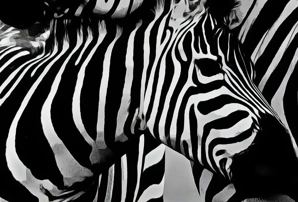 Art mural imprimable noir et blanc - Amour de zèbres. Impression numérique de zèbres en noir et blanc. Téléchargement instantané. Art d’animaux sauvages.
