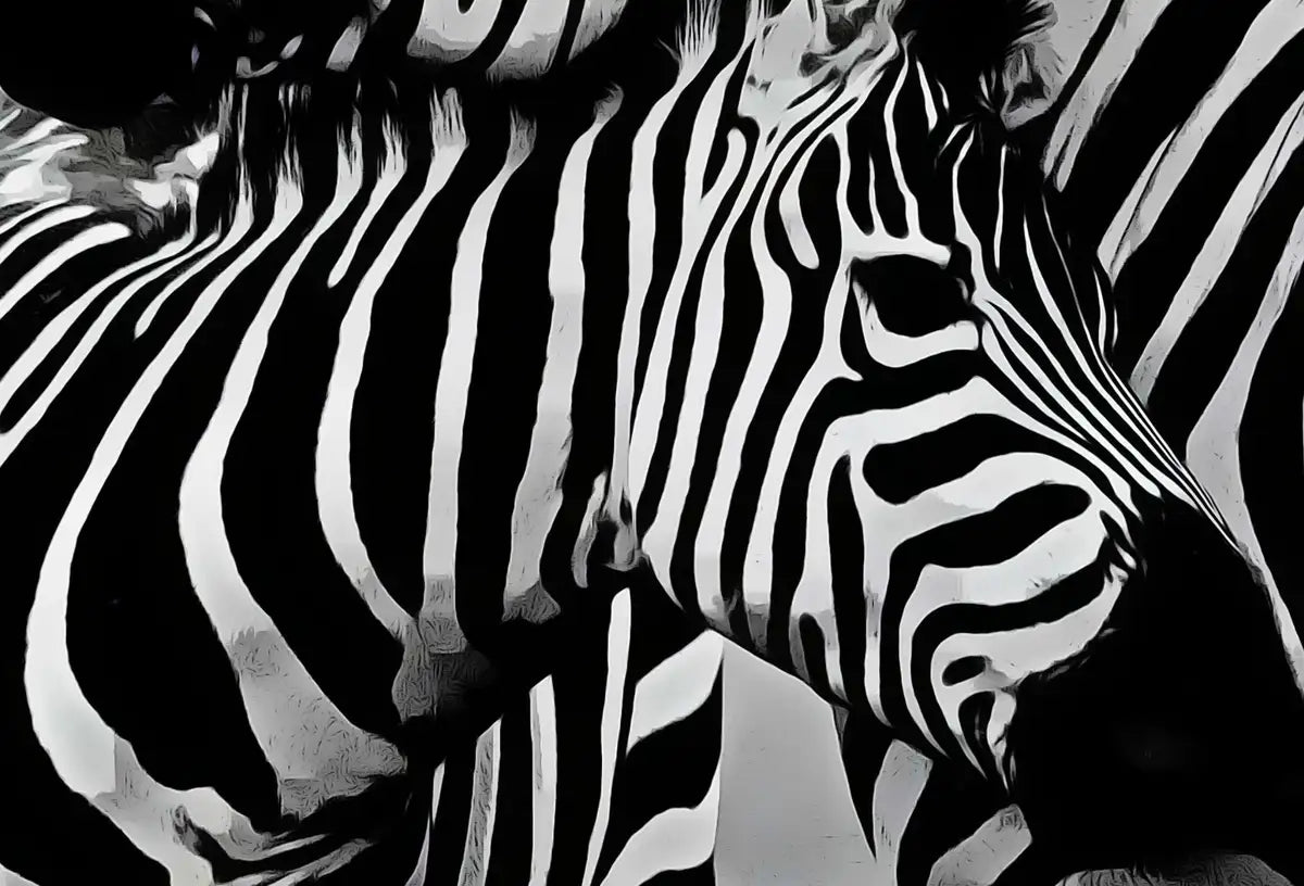 Art mural imprimable noir et blanc - Amour de zèbres. Impression numérique de zèbres en noir et blanc. Téléchargement instantané. Art d’animaux sauvages.