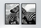 Framed view of Zebra Love Black and White Set of 2 Prints. Printable Wall Art Zebra Digital Print 2 Piece Wall Art. Instant Download Safari Animals Print – printable wall art digital download.
