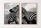 Detail view of artwork from Zebra Love Black and White Set of 2 Prints. Printable Wall Art Zebra Digital Print 2 Piece Wall Art. Instant Download Safari Animals Print. (variation 1)